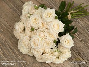 ROSE BR. SNOW BALLET 50